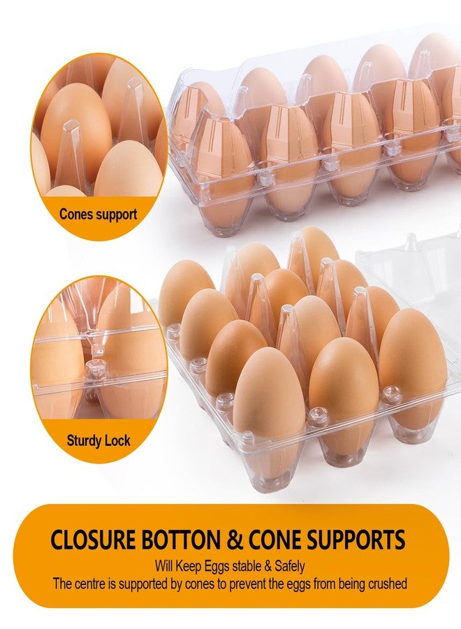 ALISWAT 100 Pack Plastic Egg Cartons 12 Count Egg Cartons Cheap Bulk for Chicken Eggs, Egg Holder Egg Container for Fresh Eggs, Reusable Egg Carton for Family, Chicken Farm and Markets, 2x6 Grid, Medium - Image 4