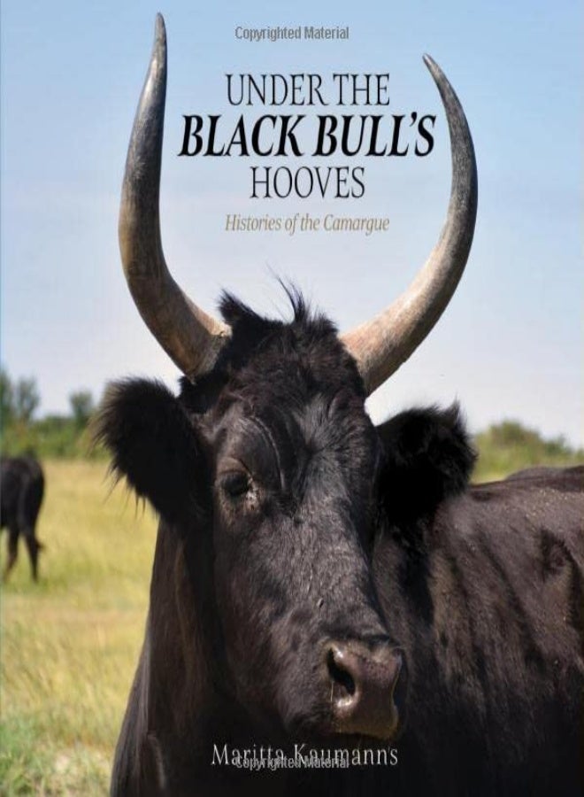 Under the Black Bull's Hooves 