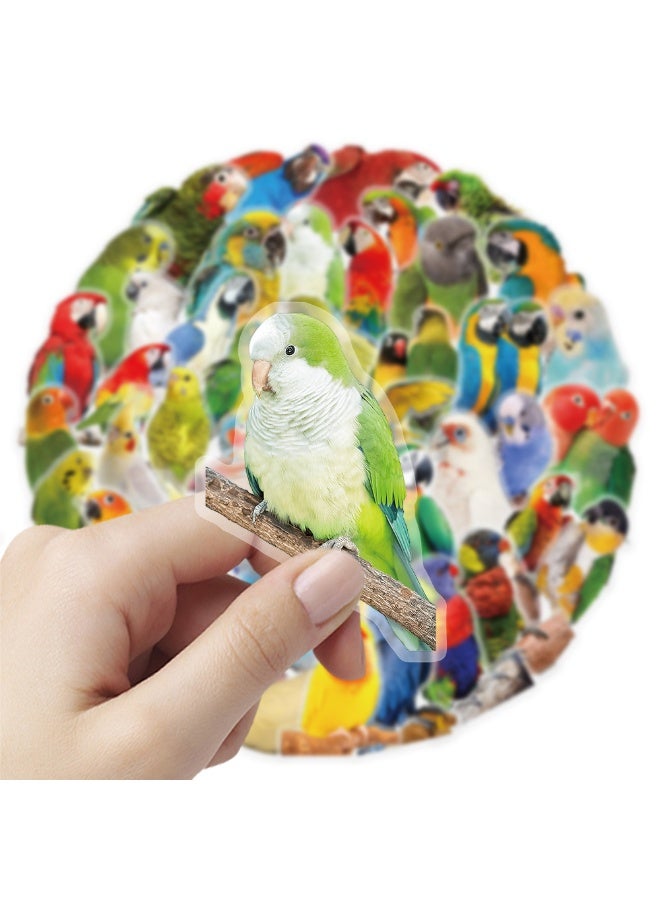 50Pcs Cartoon Birds Parrots PET Stickers Waterproof PET Stickers for Gifts Scrapbooking Laptop Water Bottles Skateboards Mobile Phone - Image 4