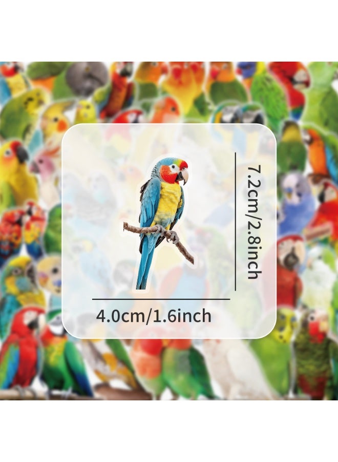 50Pcs Cartoon Birds Parrots PET Stickers Waterproof PET Stickers for Gifts Scrapbooking Laptop Water Bottles Skateboards Mobile Phone - Image 2