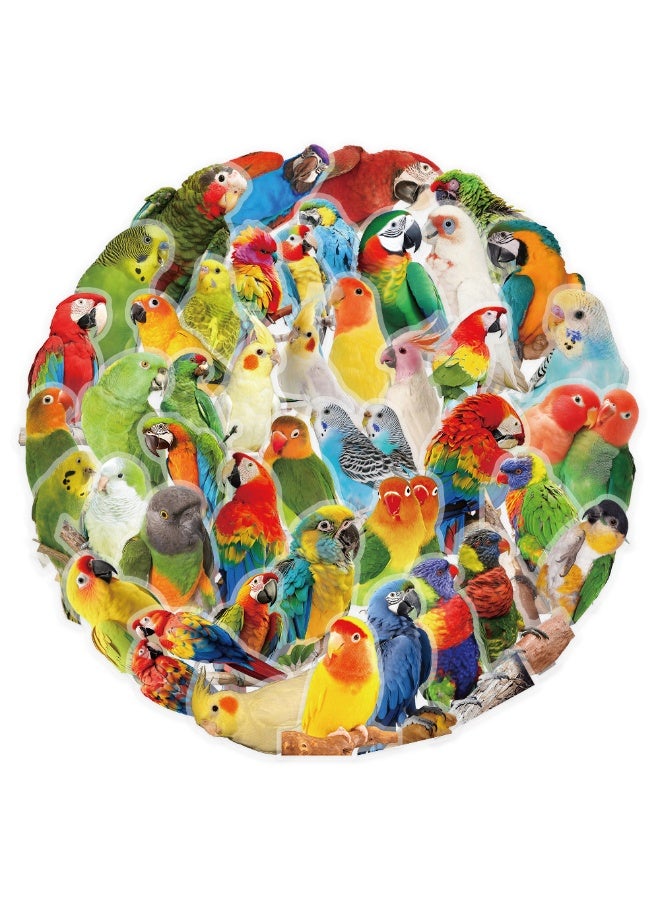 50Pcs Cartoon Birds Parrots PET Stickers Waterproof PET Stickers for Gifts Scrapbooking Laptop Water Bottles Skateboards Mobile Phone - Image 1