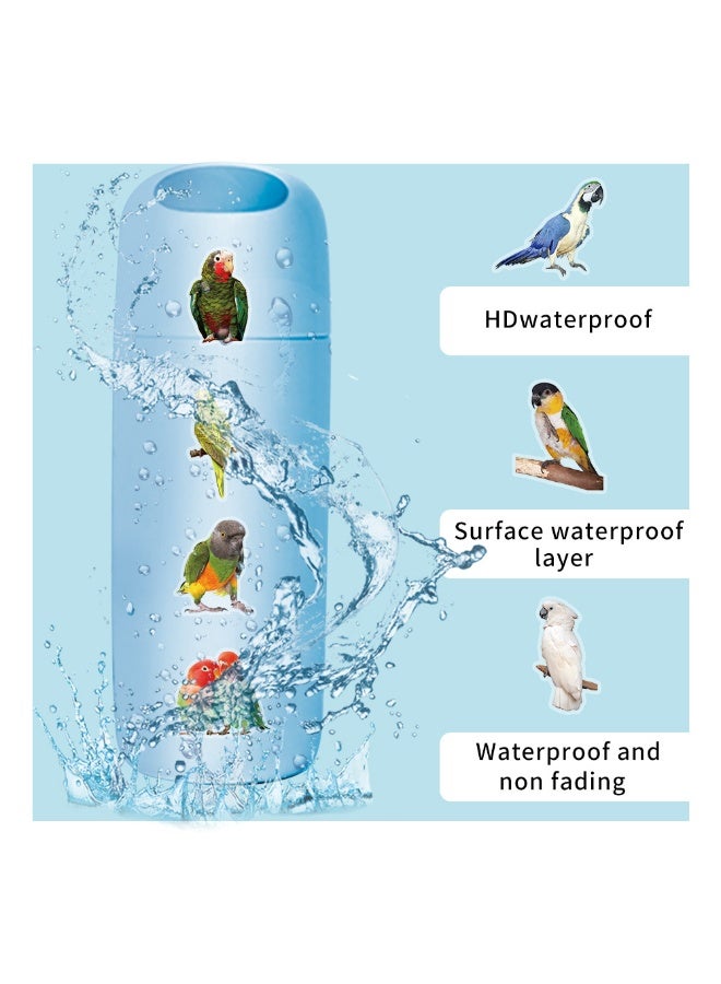50Pcs Cartoon Birds Parrots PET Stickers Waterproof PET Stickers for Gifts Scrapbooking Laptop Water Bottles Skateboards Mobile Phone - Image 3