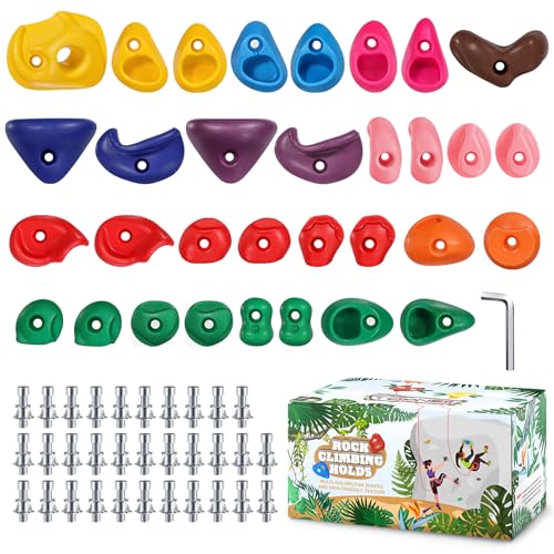 TOPNEW 32 Rock Climbing Holds Multi Size for Kids Adult Rock Wall Holds Climbing Rock Wall Grips for Indoor and Outdoor Playground Play Set Includes 2 Inch Mounting Hardware - Image 1