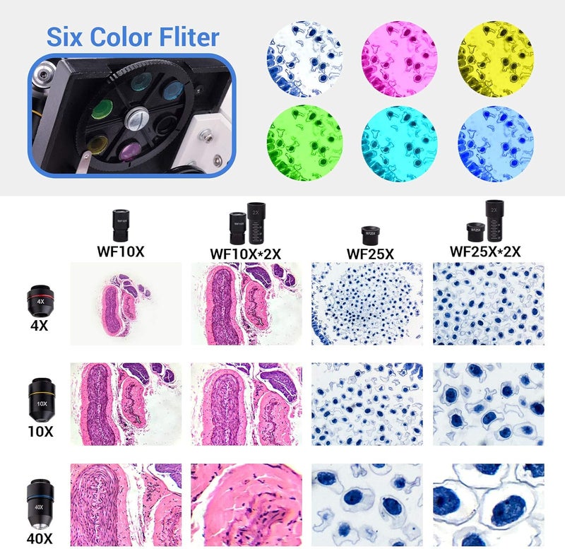 HUTACT Microscope,Compound Monocular Microscope 40X-2000X for Kids,Adults and Students, Precision Biological Science Education with Kits Adults - Image 3