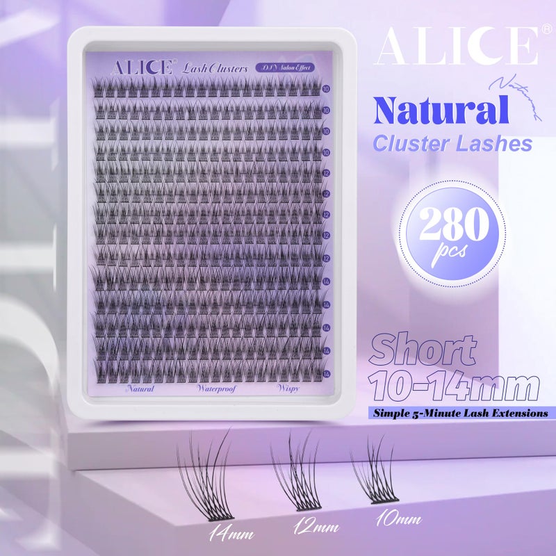 Alice Natural Lash Clusters Wispy Lash Extensions Short 10-14mm DIY Cluster Eyelash Extension C-Curly 280pcs Soft Thin Band Individual Lashes by ALICE - Image 2