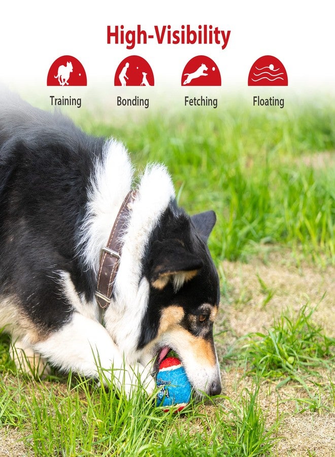 Gigwi Tennis Balls for Dogs, Squeaky Dog Tennis Balls for Exercise, High Bouncy Pet Ball Bright Colors 2.5 Inches, Interactive Funny Dog Toys for All Breeds of Dogs Indoor & Outdoor Dog Games, 5 Pack - Image 5