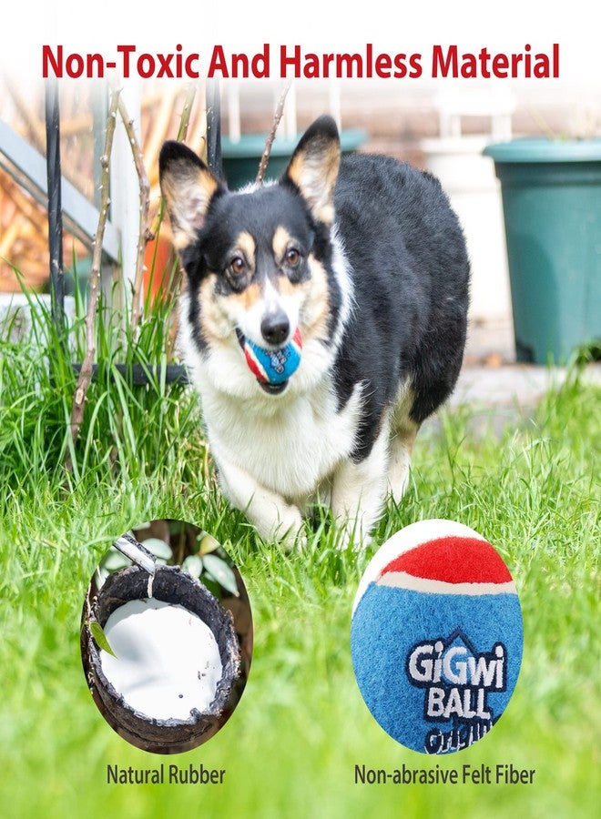 Gigwi Tennis Balls for Dogs, Squeaky Dog Tennis Balls for Exercise, High Bouncy Pet Ball Bright Colors 2.5 Inches, Interactive Funny Dog Toys for All Breeds of Dogs Indoor & Outdoor Dog Games, 5 Pack - Image 3