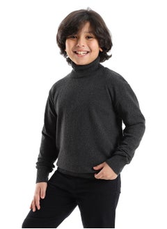 BOYS Wool Pullover With  High Neck - pzsku/ZAFDCA3E0D150C4A51C1FZ/45/_/1661682094/171a59e6-e8ee-4db5-b4f9-c52b9fe7c65b