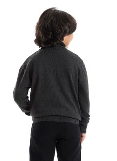 BOYS Wool Pullover With  High Neck - pzsku/ZAFDCA3E0D150C4A51C1FZ/45/_/1661682094/a4ccf62d-2e29-4edf-a000-1f92344ad84e