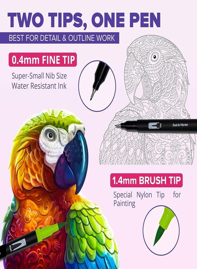 Corslet 42 Pcs Dual Tip Colour Markers Set - 36 Pc Brush Pens & 6 Pc Aesthetic Highlighter Pen Pastel Highlighter Set Sketch Colour Sketch Pen Set Calligraphy Brush Pen for Drawing & Sketching color - Image 4