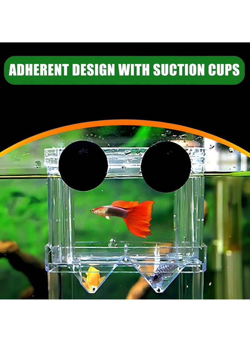Generic Pneumatic Type Aquarium Fish Breeder Box for Hatchery Perfect Isolator for Aggressive Fish Injured Fish Shrimp Clownfish Fish Tank Incubator Breeding Box for Small Baby Fish (Small)  - Image 3