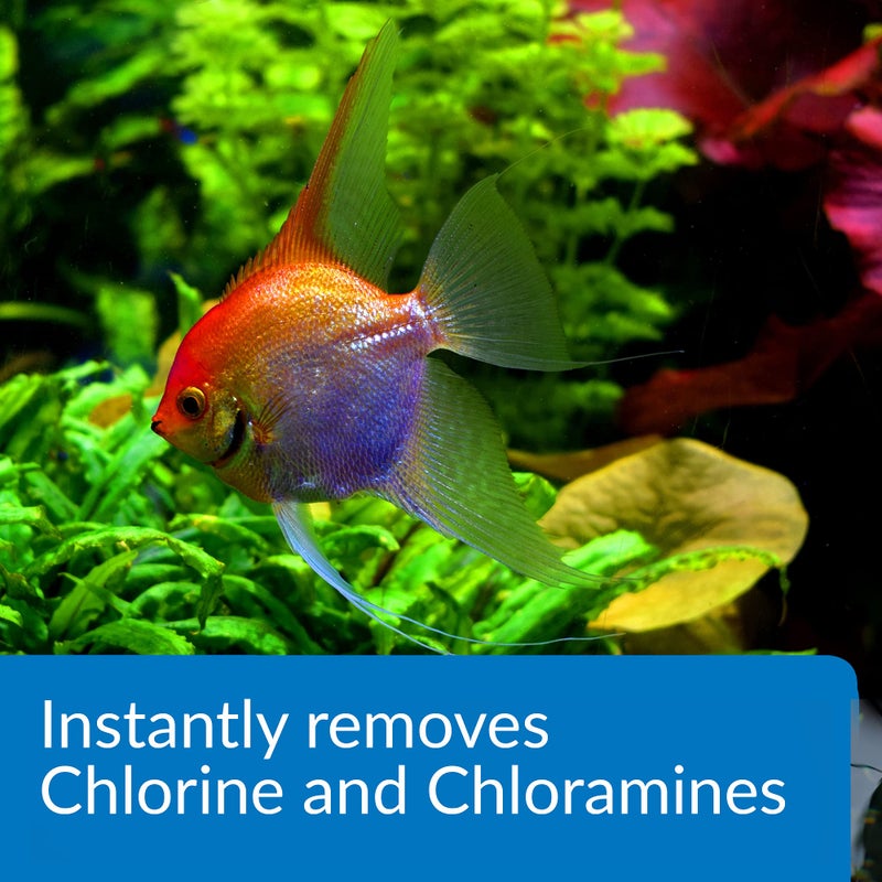 API AMMO-LOCK Freshwater and Saltwater Aquarium Ammonia Detoxifier 16-Ounce Bottle - Image 4