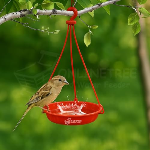 OnlineTree Bird Feeder Hanging Tray for Water | Multi-Color Pack of 3 (Red, Yellow, Green) | Outdoor Bird Water Feeder for Balcony, Garden & Terrace | Hanging Water Bowl for Wild & Pet Birds - Image 2