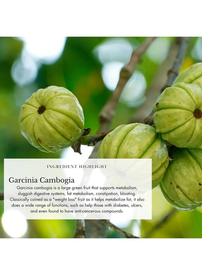 Anima Mundi Apothecary مسحوق حب البطن من أنيما موندي - مكمل لتخفيف الانتفاخ - مساعد هضمي ومكمل مسحوق لتخفيف الانتفاخ للنساء والرجال - مع مستخلص عصير التوت البري والزنجبيل (4.5 أونصة / 128 جرام) - Image 3