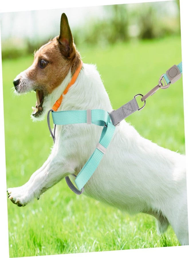 GRIRIW Adjustable Dog Harness and Leash Set for Puppies Escape Design Durable Rings Flexible One-Hand Operation Walking Training and Jogging - Image 4