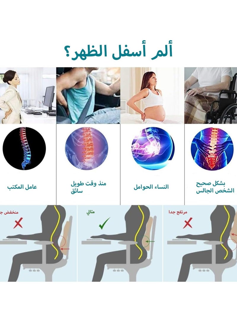 Hihonor وسادة دعم قطني لكرسي المكتب، دعم قطني، وسادة أسفل الظهر للسيارة، مسند ظهر مريح من إسفنج الذاكرة لتقويم العظام مع غطاء شبكي ثلاثي الأبعاد قابل للتنفس وحزام قابل للتعديل لتخفيف آلام الظهر  - Image 2