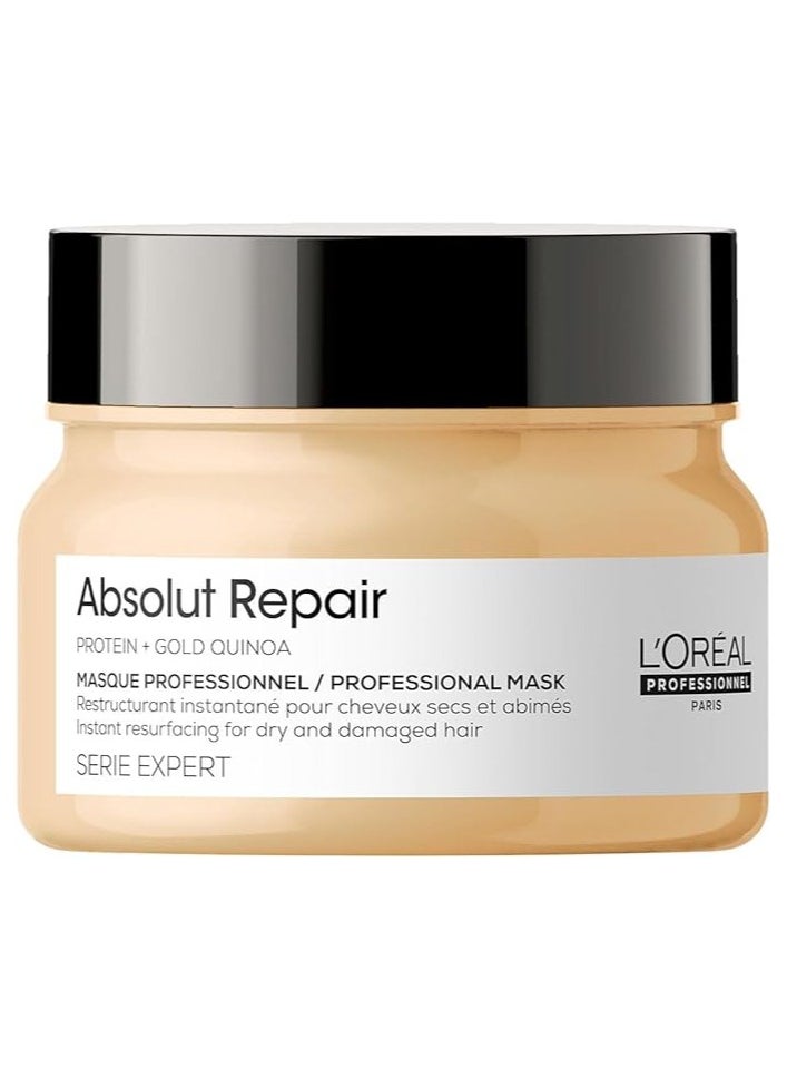 L'OREAL Professional series Expert Absolut Repair Reconstructing Masque - 250ml - pzsku/ZAFE134421FDBB97EB58CZ/45/_/1716391035/75cee57f-e264-4d6f-ae10-4c7ff877ff37