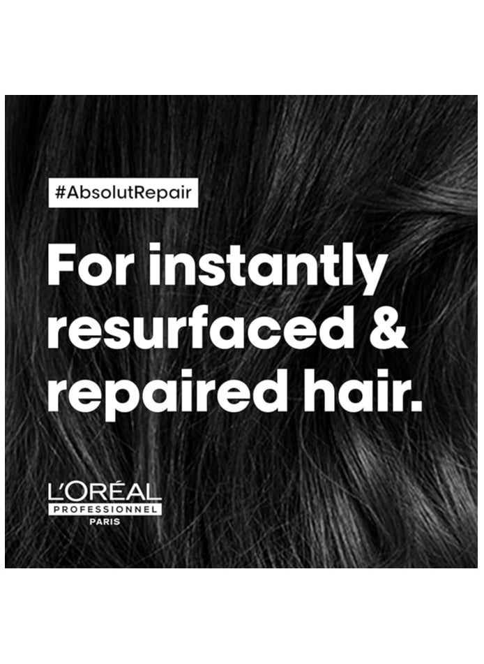 L'OREAL Professional series Expert Absolut Repair Reconstructing Masque - 250ml - pzsku/ZAFE134421FDBB97EB58CZ/45/_/1716391055/06255c42-f989-402b-8102-1f76f9bd06eb