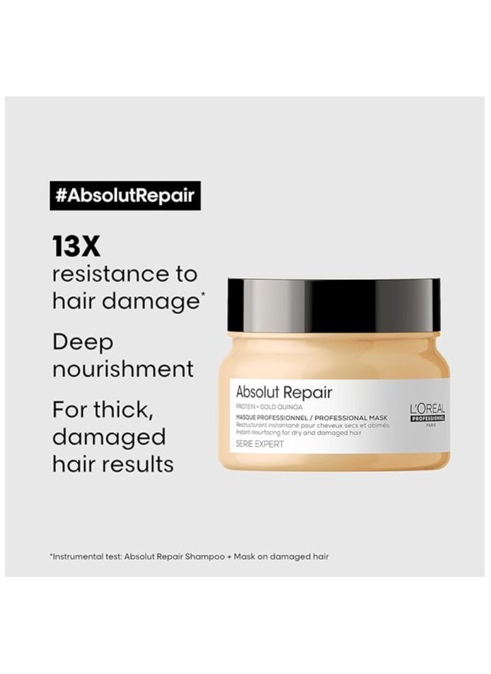 L'OREAL Professional series Expert Absolut Repair Reconstructing Masque - 250ml - pzsku/ZAFE134421FDBB97EB58CZ/45/_/1716391076/751d5753-7af3-44a0-b1b6-bc8286f15bca