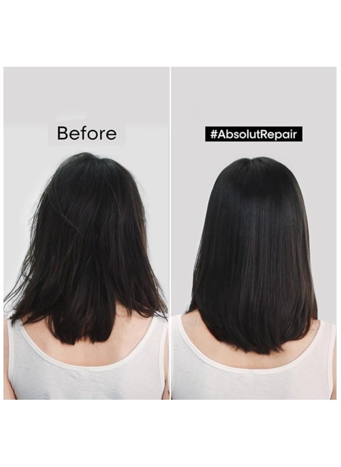 L'OREAL Professional series Expert Absolut Repair Reconstructing Masque - 250ml - pzsku/ZAFE134421FDBB97EB58CZ/45/_/1716391106/a1e3a077-fed6-486d-a4e1-63898ae1f586