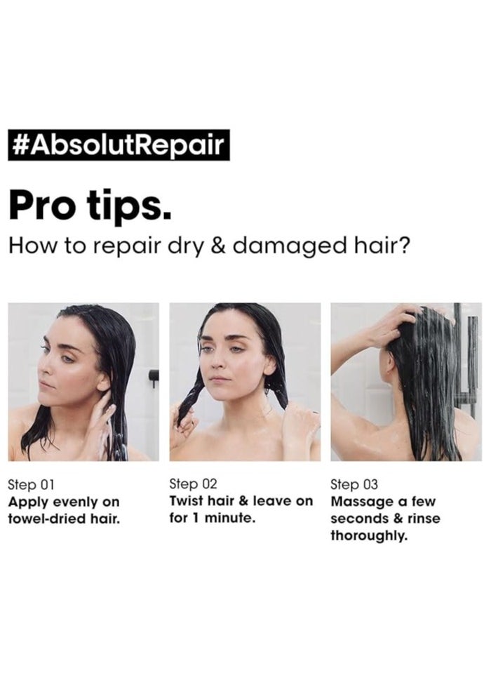 L'OREAL Professional series Expert Absolut Repair Reconstructing Masque - 250ml - pzsku/ZAFE134421FDBB97EB58CZ/45/_/1716391126/abbe86cd-f886-41f5-a82e-678a99d673c7