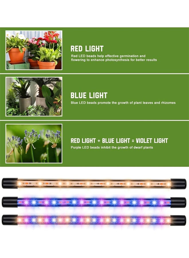 DUNISO Grow Light with Stand, Grow Lights for Indoor Plants with Red Blue Spectrum, LED Grow Light, 3 Modes & 10-Level Dimmable, 3/9/12H Timer, Adjustable Gooseneck, Suitable for Various Plants Growth  - Image 4