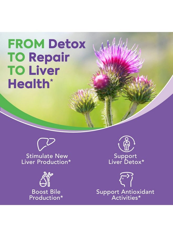 Surebounty - 4In1 Milk Thistle Complex For Men & Women 30X Milk Thistle Extract (80% Silymarin) With Dandelion Choline Zinc Liver Detox & Repair Nongmo Once Daily 90 Veggie Caps - Image 1