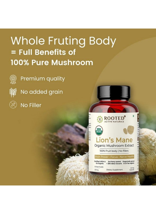Rooted Active's Lion's Mane Mushroom for Brain Health Support - Mushroom Support for Focus & Memory Function - Immune & Nervous System Supplement | USDA Organic | 60 Caps - Image 3