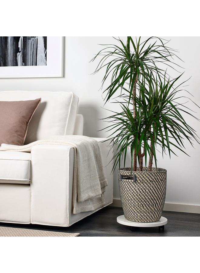 زبون وعاء نباتات، للاستخدام الداخلي/الخارجي، رمادي غامق/بيج، 24 سم - Image 3