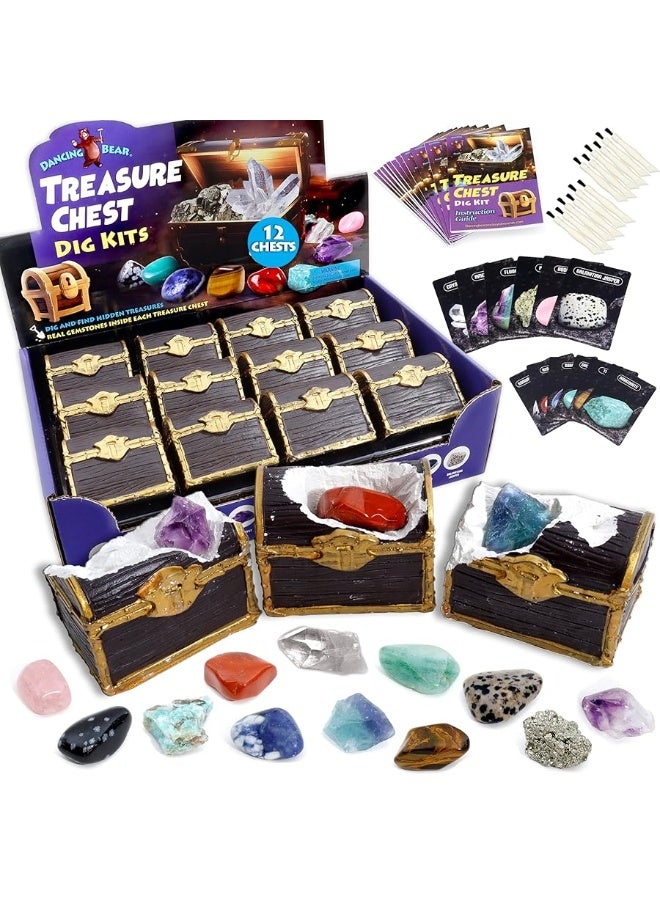 DANCING BEAR Treasure Chest Dig Kit Party Pack for 12 Kids, Excavate 12 Surprise Real Gems & Crystals, STEM Education, Fun Pirate Booty Hunt, Science Activity Gift Sets for Girls and Boys - Image 1