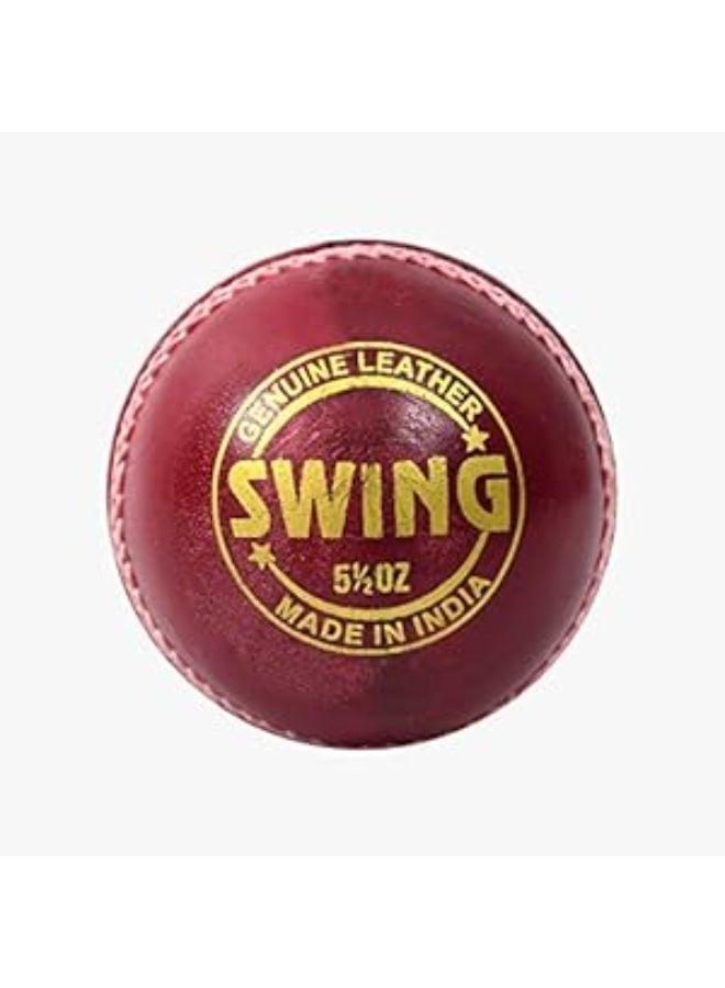 دي أس سي كرة كريكيت جلدية DSC Swing – حمراء | عبوة من 1 | مقاومة للماء | جودة احترافية | مثالية للتدريب والمباريات | ارتداد ثابت | مصنوعة من الجلد عالي الجودة - Image 1