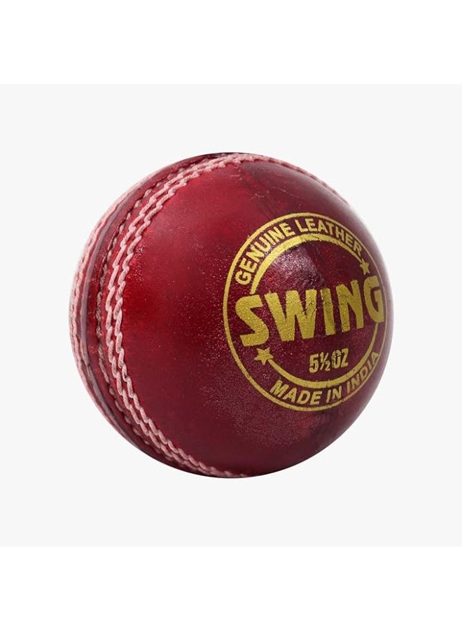 دي أس سي كرة كريكيت جلدية DSC Swing – حمراء | عبوة من 1 | مقاومة للماء | جودة احترافية | مثالية للتدريب والمباريات | ارتداد ثابت | مصنوعة من الجلد عالي الجودة - Image 2