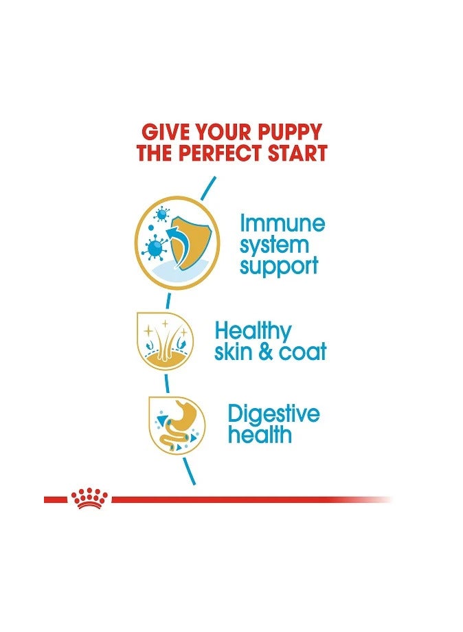 رويال كانين طعام جاف للكلاب من رويال كانين جولدن ريتريفر، 12 كجم - Image 5