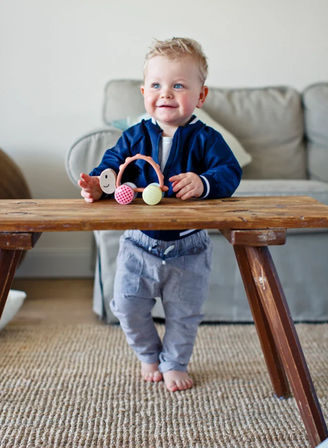 Hape Hape Turbo Turtle Teether & Push-Along Toy | Chew-Safe Silicone Handle & Colorful Patterned Wheels | Motor & Social Skill Development | For 10M+