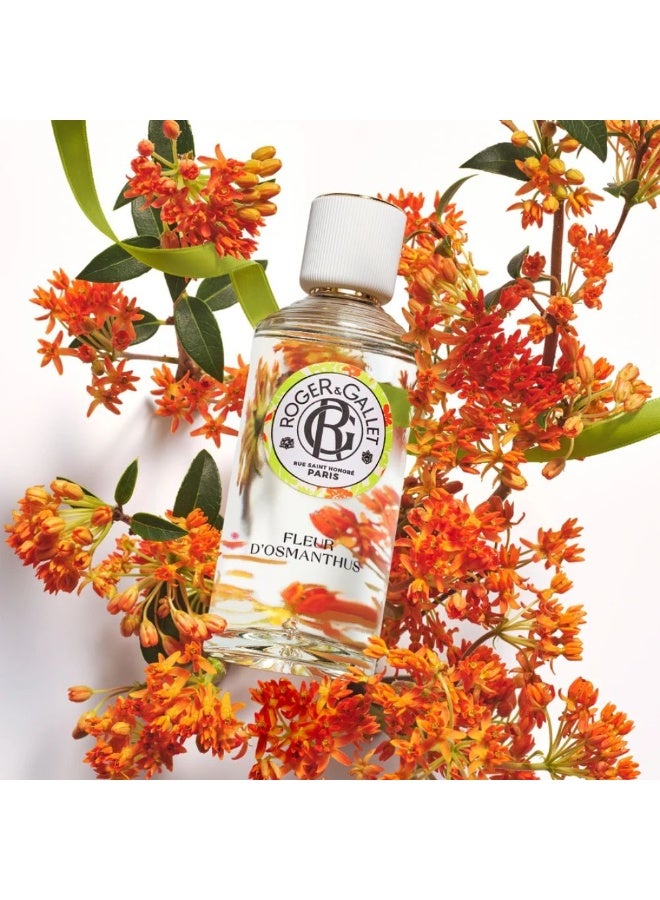 روجر أند غاليت ماء عطري فلور دوسمانثوس من روجر آند جاليه، 100 مل - Image 4