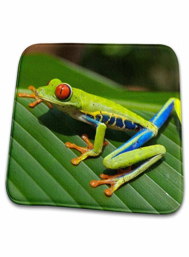 3dRose Sven Herkenrath Reptile - Green Exotic Reptile Frog - Dish Drying Mats (ddm-236640-1) - Image 1