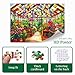 Artipuz 1000 Piece Puzzle for Adults Stained Glass Greenhouse Flower Jigsaw Puzzle 276 x 197in 1000 Pieces Jigsaw Puzzles for Adults Gift for Friends Family Wall Art Home Decor - Image 4