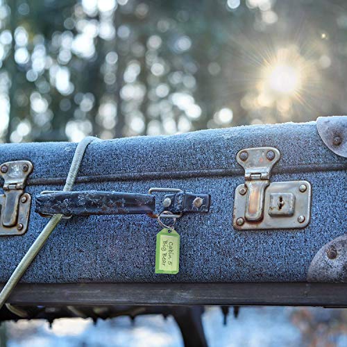 Lucky Line ID Key Tag with Flap, Split Ring & Paper Insert for Labeling, Key Organization & Identification, Assorted, Pack of 10 (605100) - Image 4