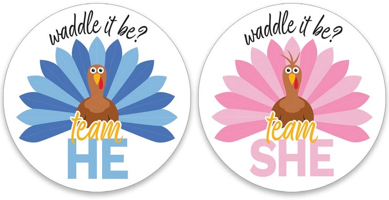 DISTINCTIVS Thanksgiving Gender Reveal Stickers – 40 Team He or Team She Stickers, What Will Our Little Turkey Be, Waddle It Be Party Decorations - Image 1