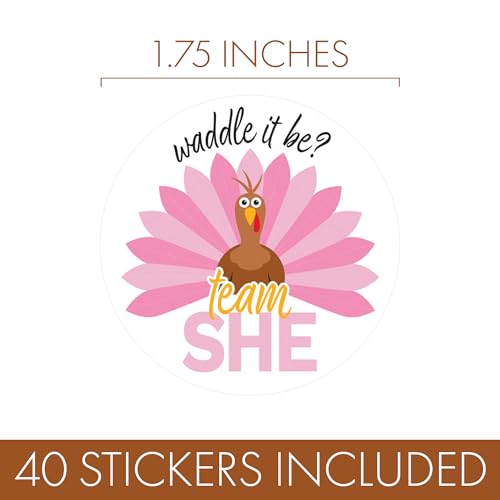 DISTINCTIVS Thanksgiving Gender Reveal Stickers – 40 Team He or Team She Stickers, What Will Our Little Turkey Be, Waddle It Be Party Decorations - Image 3
