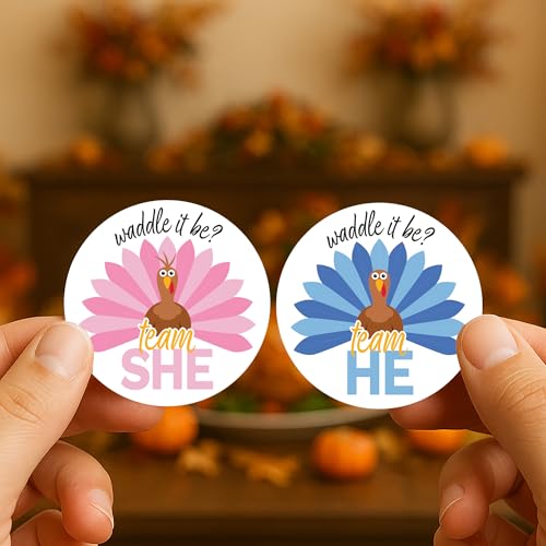 DISTINCTIVS Thanksgiving Gender Reveal Stickers – 40 Team He or Team She Stickers, What Will Our Little Turkey Be, Waddle It Be Party Decorations - Image 2