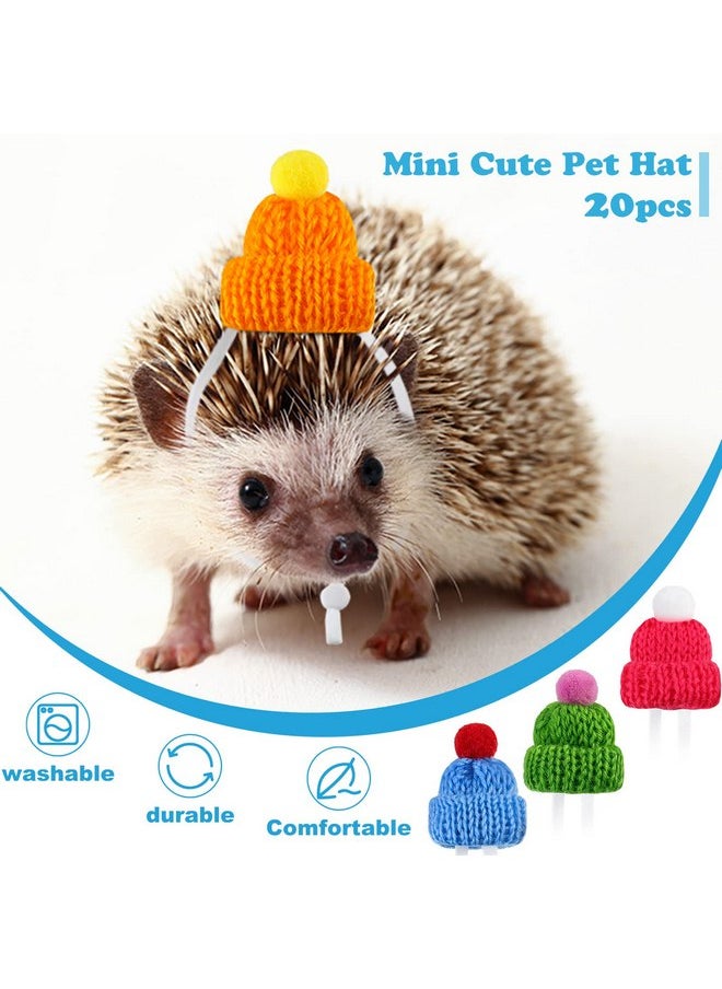 Mtlee - 20 Pcs Pet Snake Hat with Adjustable Elastic Chin Strap, Small Reptile Animal Hamster Knitted Hat Pompon Mini Hats for Pets Snake Ball Python Lizard Guinea Pig Chameleon Iguanas Accessories Decoration - Image 1