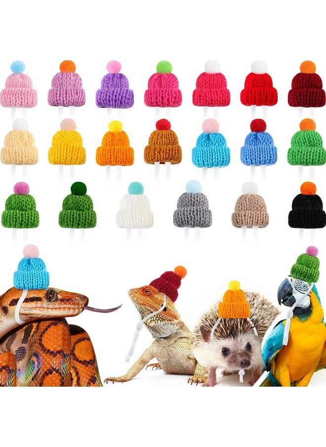 Mtlee - 20 Pcs Pet Snake Hat with Adjustable Elastic Chin Strap, Small Reptile Animal Hamster Knitted Hat Pompon Mini Hats for Pets Snake Ball Python Lizard Guinea Pig Chameleon Iguanas Accessories Decoration - Image 1