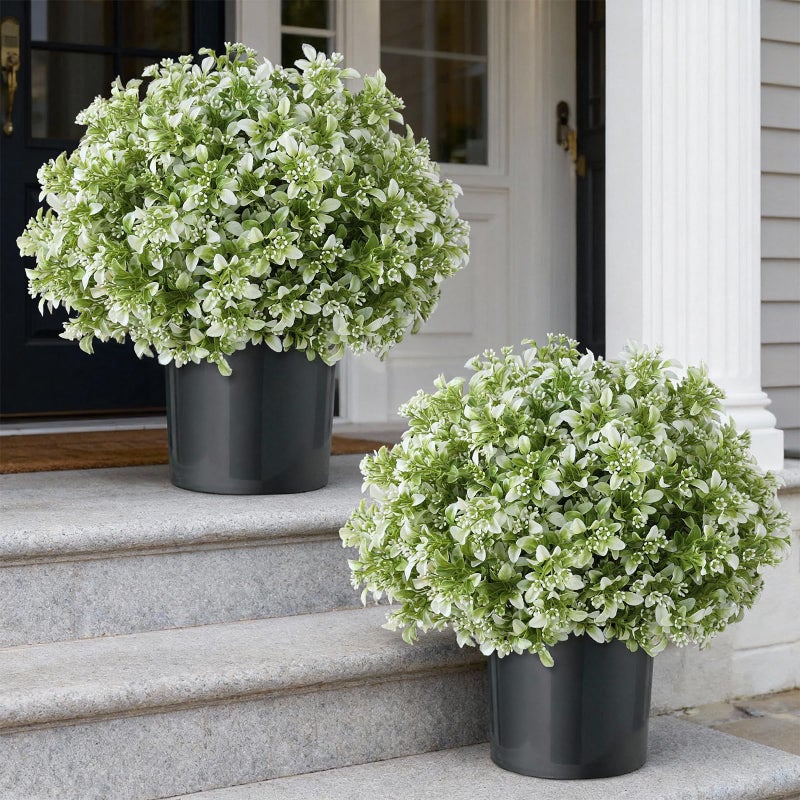 FOTEEWL Set of 2 Artificial Boxwood Topiary Ball Trees for Front Door - Realistic Faux Aglaia Odorata Bush with Pot, Fake Eucalyptus Leaves Potted Plants for Porch Farmhouse Outdoor Decor (White-Green) - Image 1