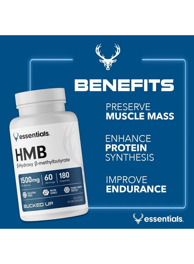 Bucked Up HMB (Beta-Hydroxy Beta-Methylbutyrate) 1500mg Per Serving, Essentials (60 Servings, 180 Capsules) - Image 3