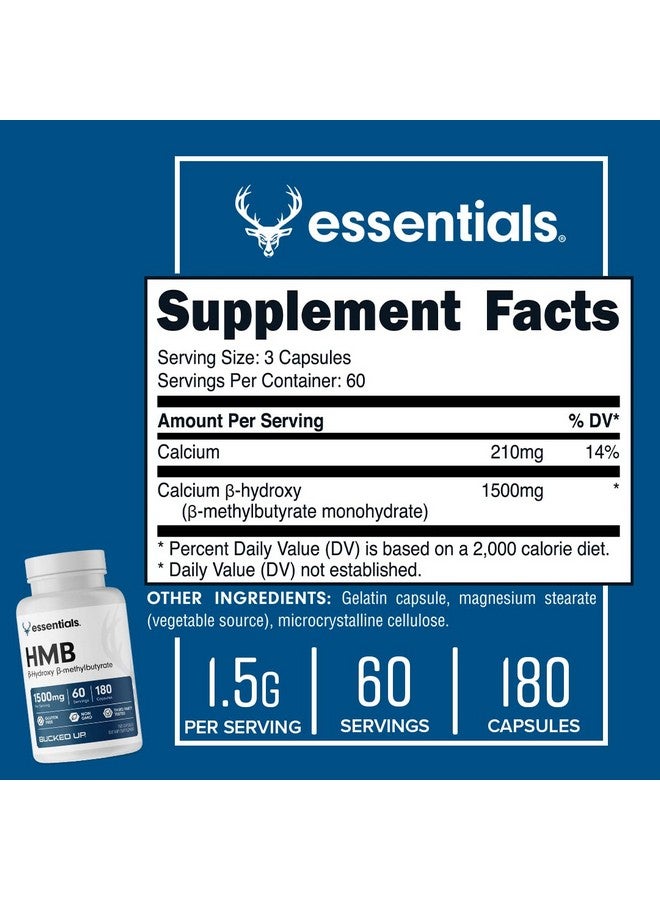 Bucked Up HMB (Beta-Hydroxy Beta-Methylbutyrate) 1500mg Per Serving, Essentials (60 Servings, 180 Capsules) - Image 2