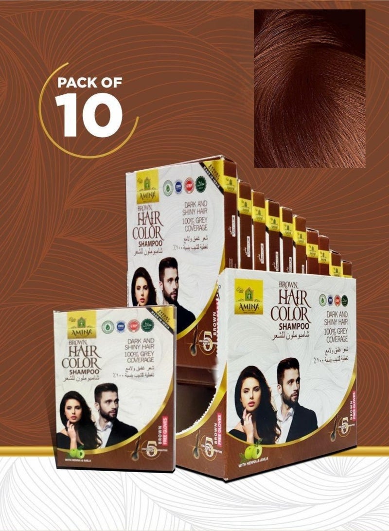 أمينا شامبو أمينة 5 مينت إكسبريس في آي بي لصبغ الشعر باللون البني الدائم بالأعشاب مع الحناء والأملا للرجال والنساء 200 مل (عبوة من 10 قطع 20 مل) أسرع ألوان لشعرك بدون قفازات - Image 1