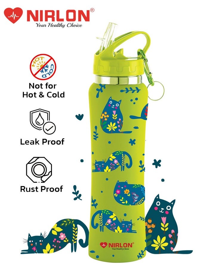 Nirlon - Flip Bot Stainless Steel Rubber Finish Water Bottle With Straw Lid For Fridge, School,Gym,Home,Office,Boys, Girls, Kids, Leak Proof(Uv Printed Bottle|Artsy Cat|Sipper Cap), 750 Ml - Image 1