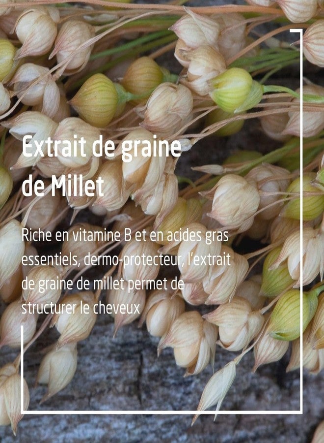 Weleda Millet Nourishing Shampoo, 6.4 Ounce - Image 3