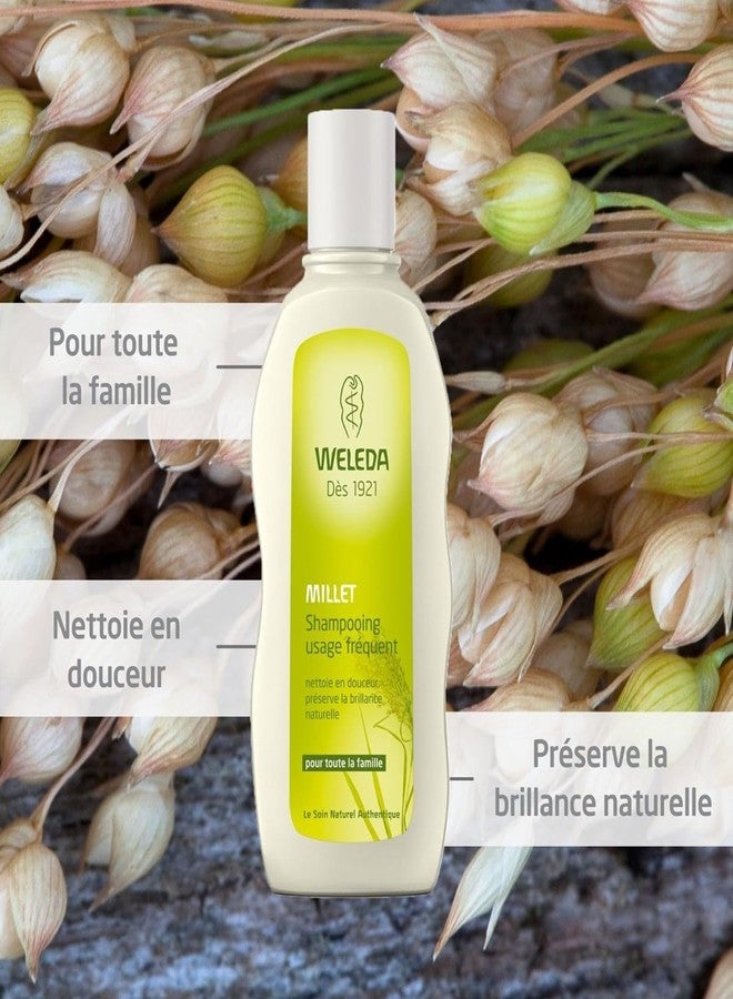 Weleda Millet Nourishing Shampoo, 6.4 Ounce - Image 2